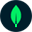 mongoDb logo